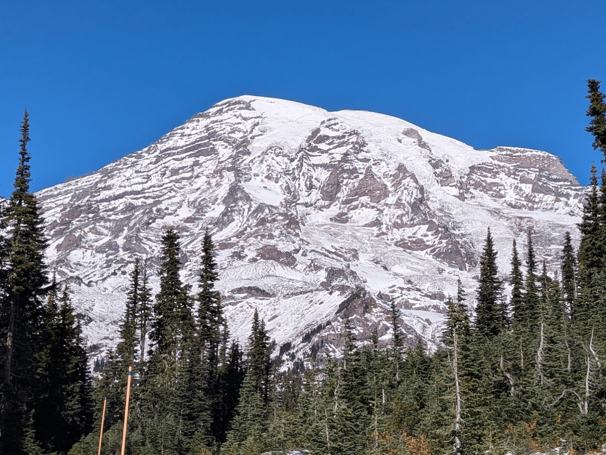 【2025北美極光之旅】Day 13 雷尼爾山一日遊(Mount Rainier)、Longmire伐木小鎮、西雅圖中央圖書館