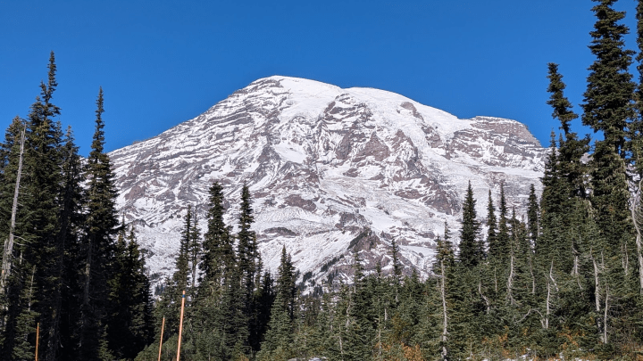 【2025北美極光之旅】Day 13 雷尼爾山一日遊(Mount Rainier)、Longmire伐木小鎮、西雅圖中央圖書館